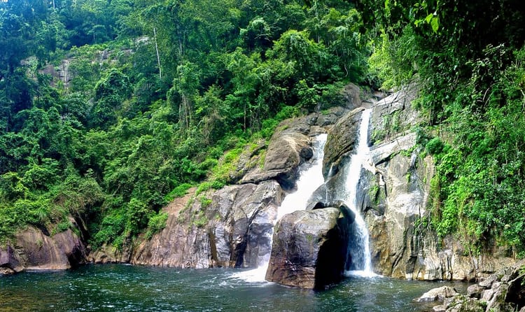 Wayanad Forest & Waterfall
